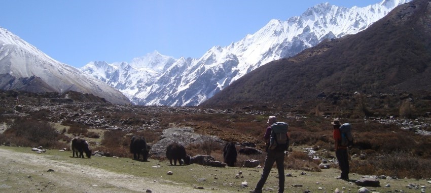 Langtang, Gosaikunda, Helambu Trek - Langtang Gosainkunda  Helambu Valley Trekking