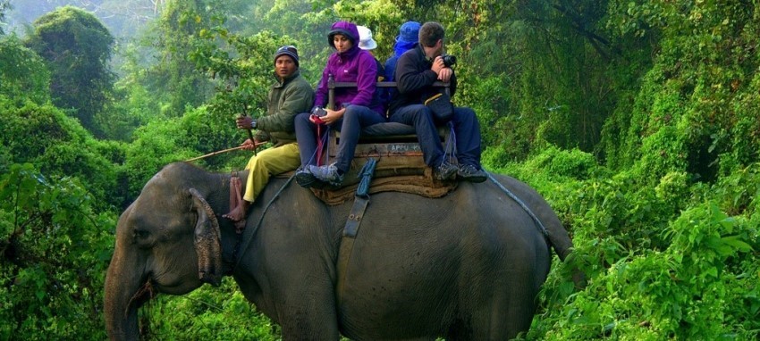 Jungle Safari in Chitwan - Jungle Safari in Chitwan