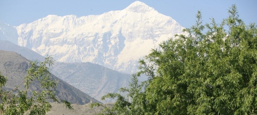 Jomsom Muktinath Trek (Short version) - Jomsom-Muktinath Trek Nepal