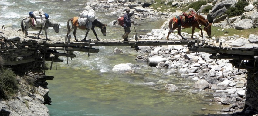 Limi Valley Trek -  Limi valley trek Humla Nepal