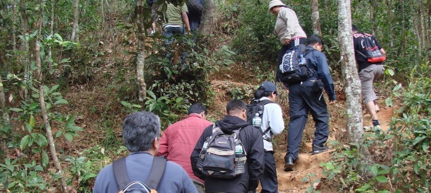 Botanical Garden and Phulchowki Hill (2,782 m) Hiking - Botanical Garden and Phulchowki Hill (2782 m.) 