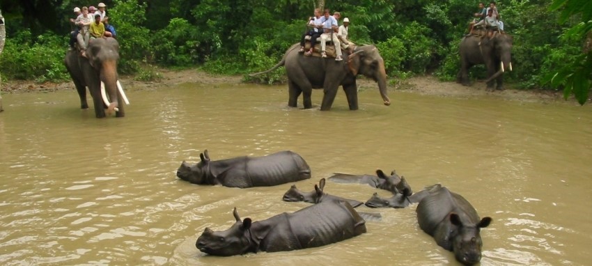 Jungle Safari in Bardiya - Jungle Safari in Bardiya