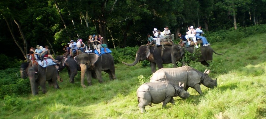 Jungle Safari in Chitwan - Jungle Safari in Chitwan