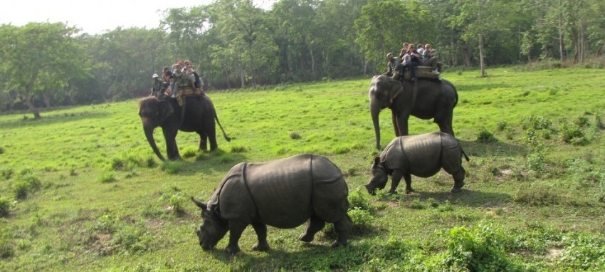 Nepal World Heritage Sites Tour - Nepal cultural heritage tour Chituwan jungle safari