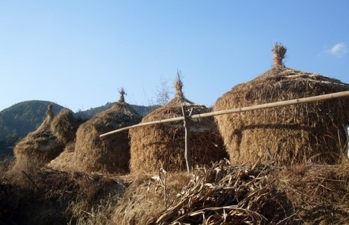 Chitlang village tour