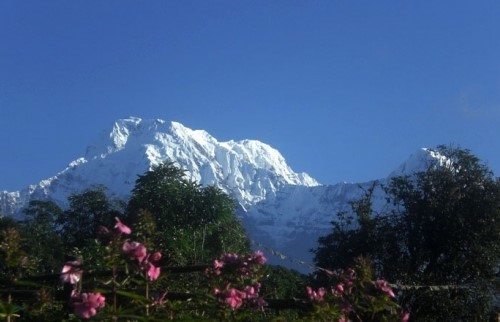 Mardi Himal Trek