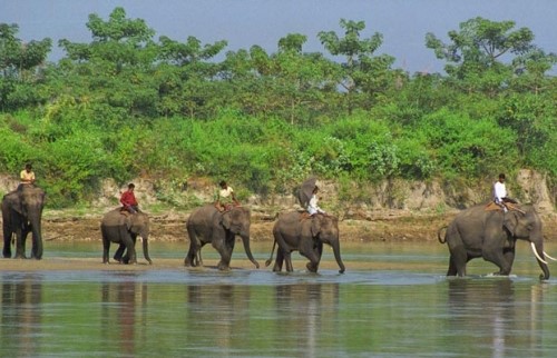 Jungle Safari in Parsa Wildlife Reserve