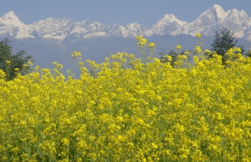 Shivapuri and Kakani village tour