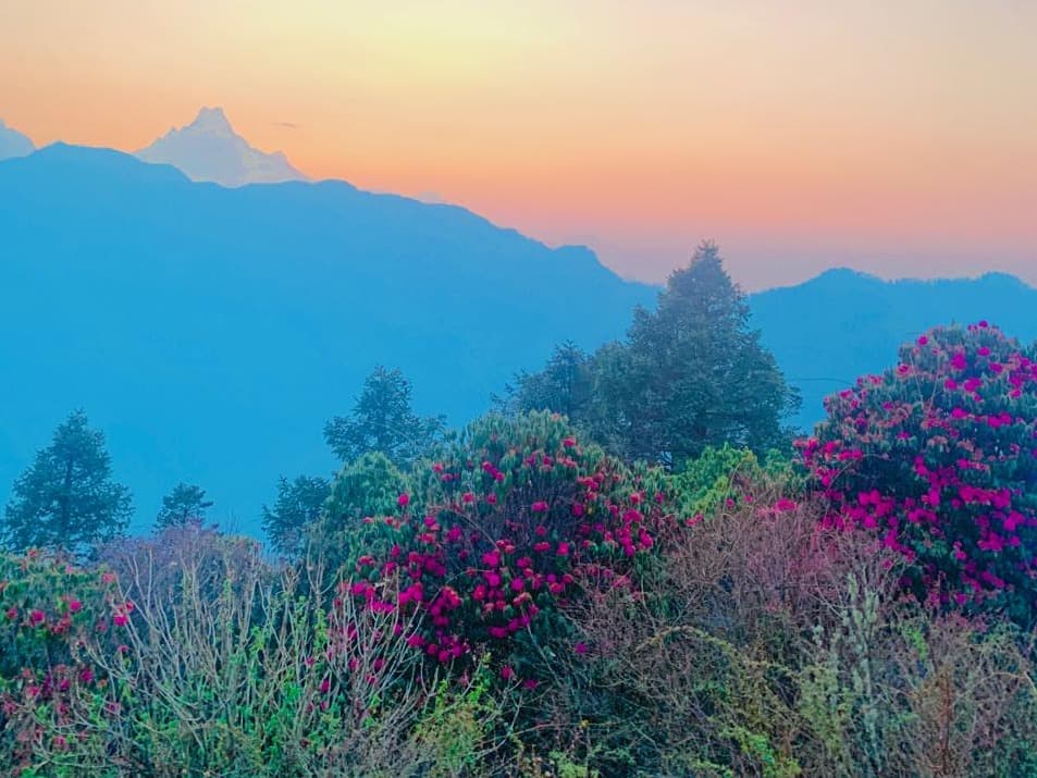 9 Day ghorepani poon hill to mardi himal trek