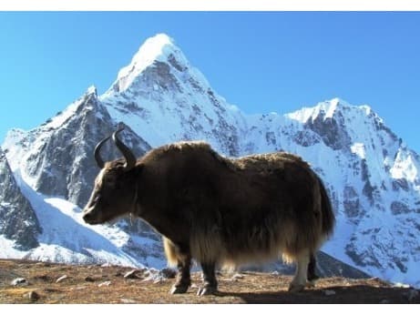 Everest Panorama Trek