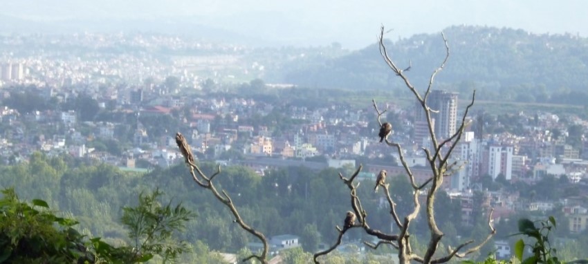 Excursion d'une journée à Bungmati et Khokana - Bungmati et Khokana excursion d'une journ